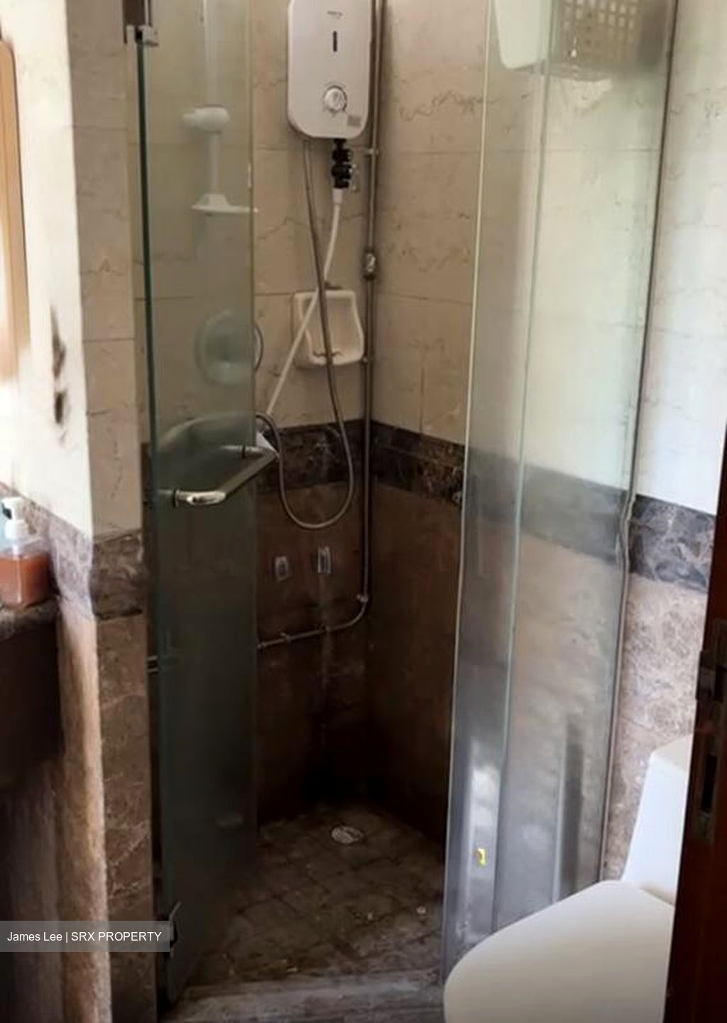 The Sterling (D21), Condominium #497791261